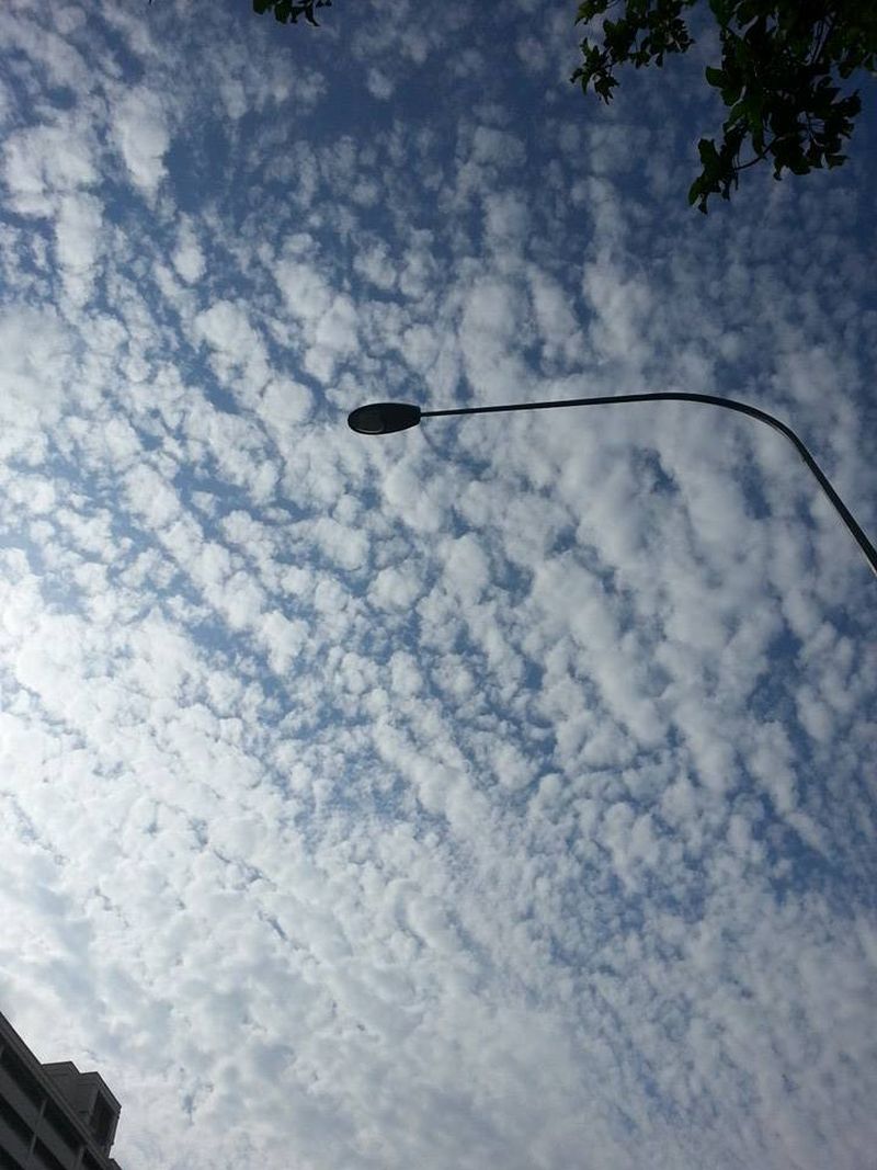 10446499_10204078166777383_6545042274482246010_n