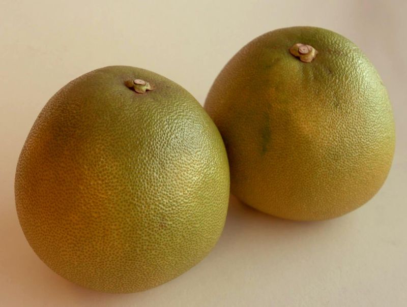 308142.1 (26046579) - 01_09_2014