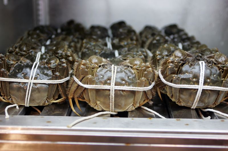 1120470 - 02_11_2008