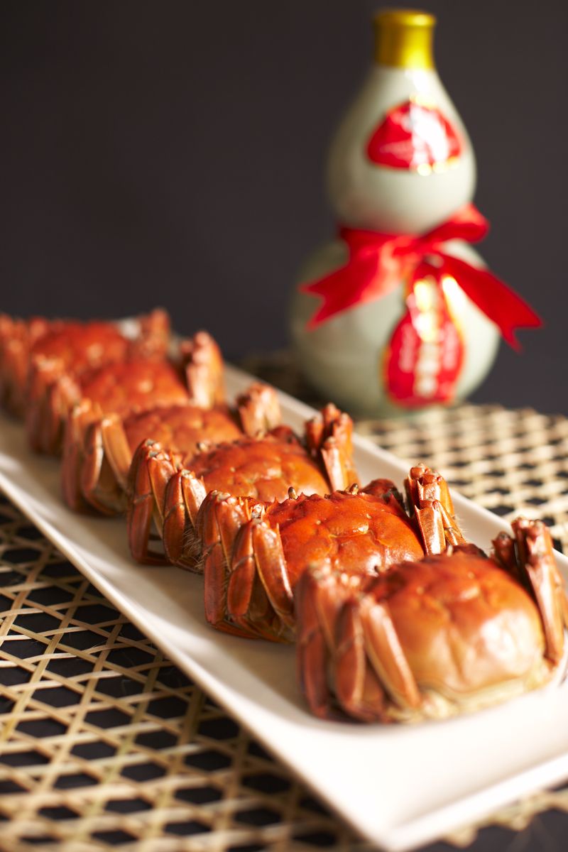 3629986 - 29_11_2008