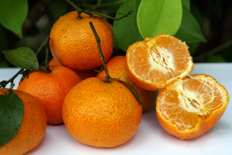 8385234 - 26_12_2009