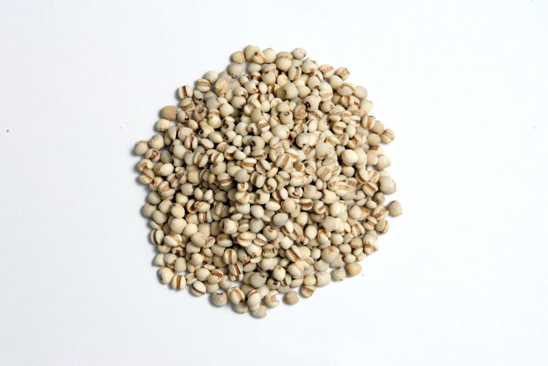 1070323 - 01_11_2008