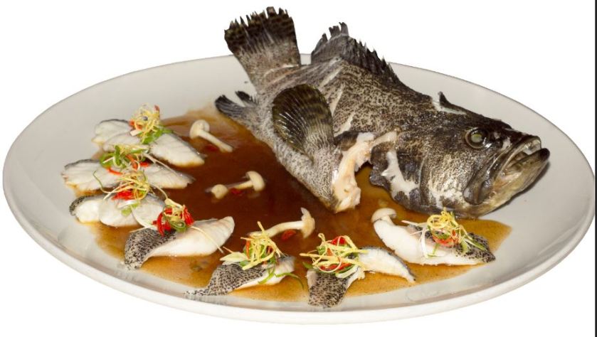 冬虫草高汤浸石斑件