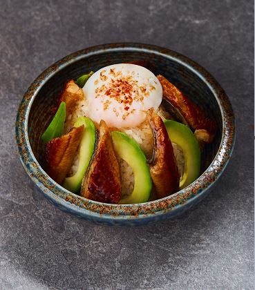 kogane yama - unagi avocado don